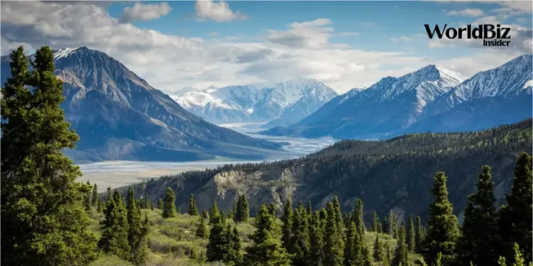 Top 5 Hill Station Near Delhi You should Visit Cool Refreshment